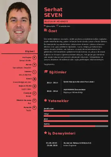 Bilgisayar Mühendisi CV Örnekleri cv indir